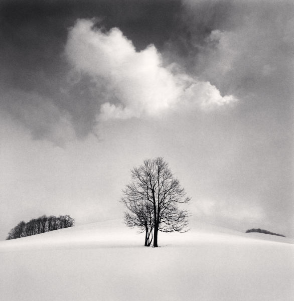 SOL LDN Brings Together Michael Kenna's Work from Japan in a