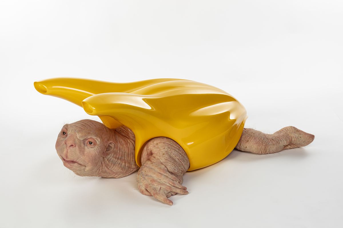 Patricia Piccinini 8 Articles Widewalls