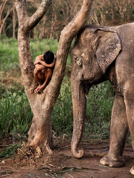 Steve McCurry - Mahout and His Elephant, Chiang Mai, Thailand, 2010