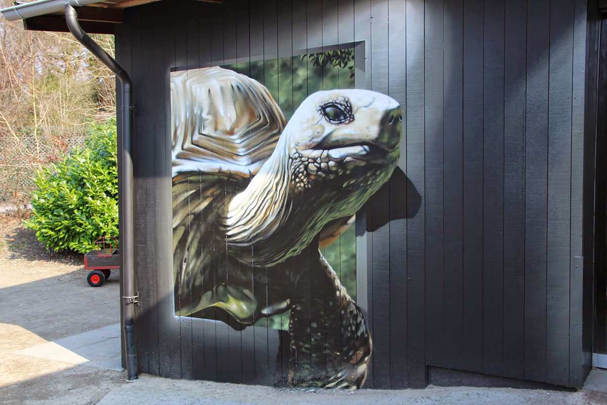 Tasso At Odense Zoo Widewalls