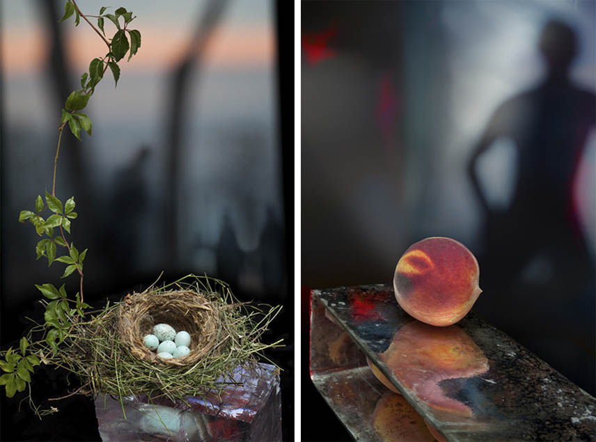 Olivia Parker Still Life Photography Olivia Parker Still Life Photography