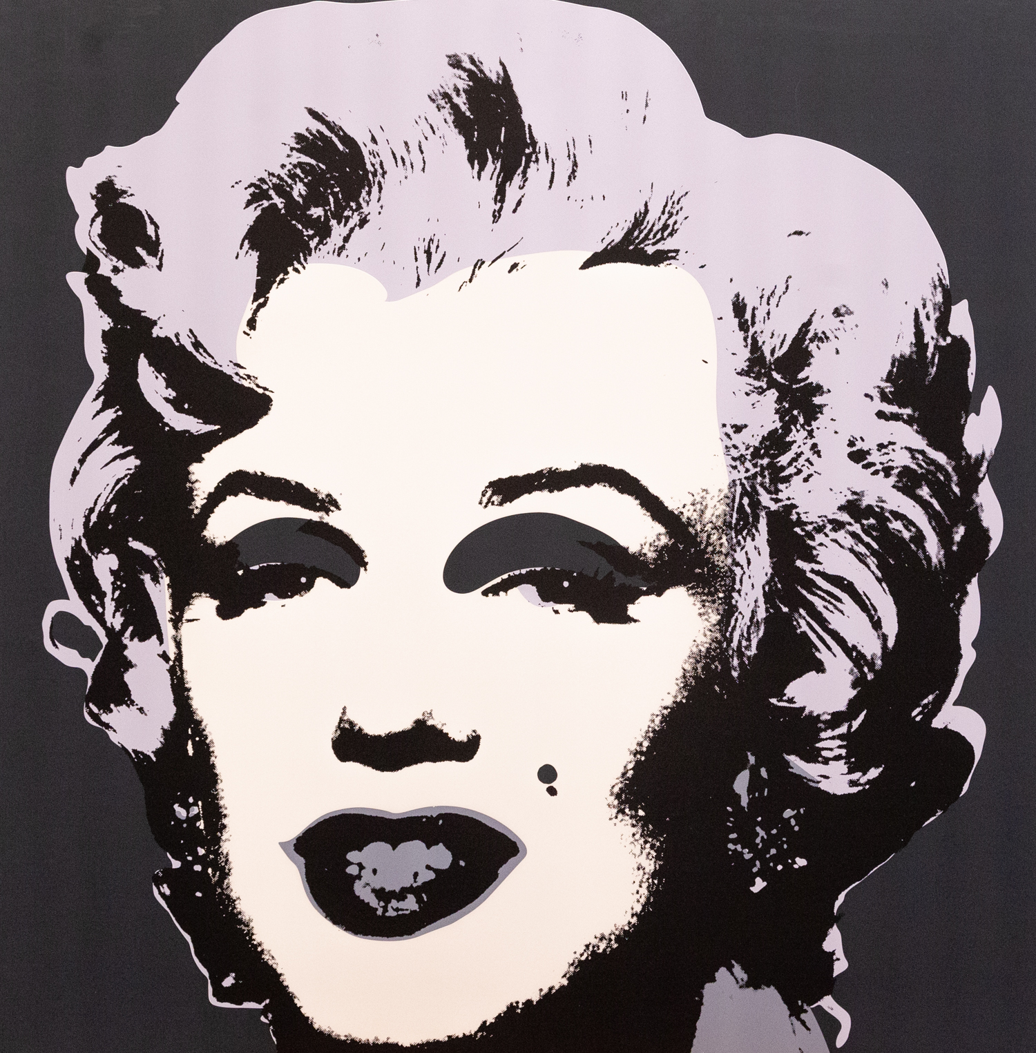 Andy Warhol Marilyn Widewalls