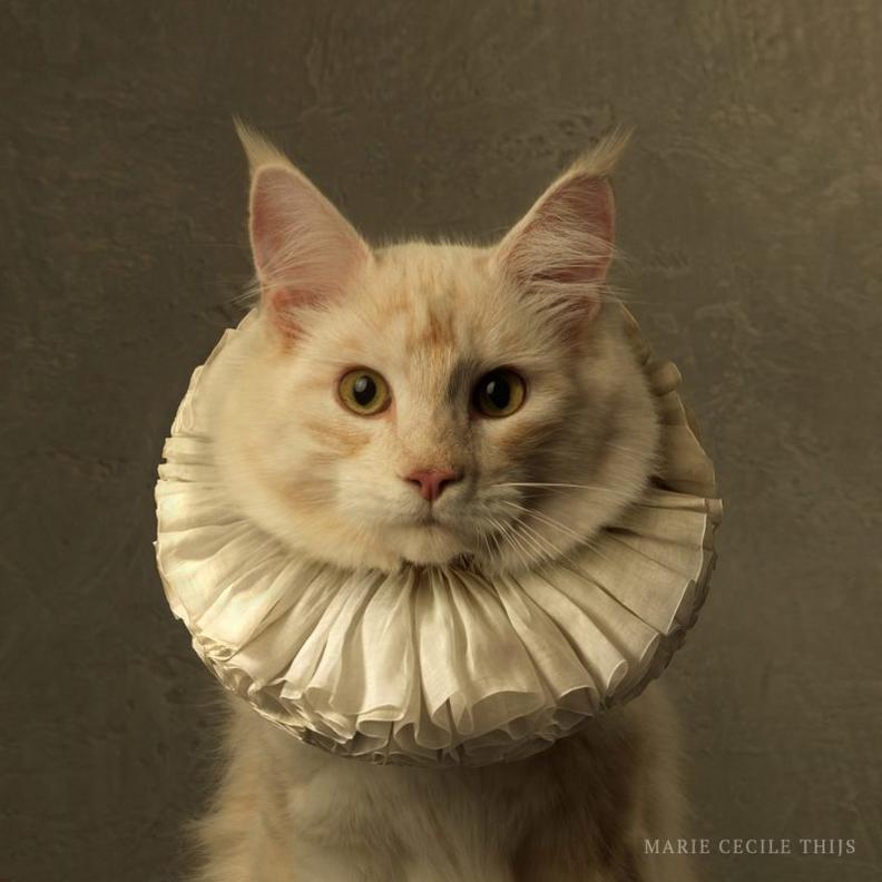 cat ruff collar