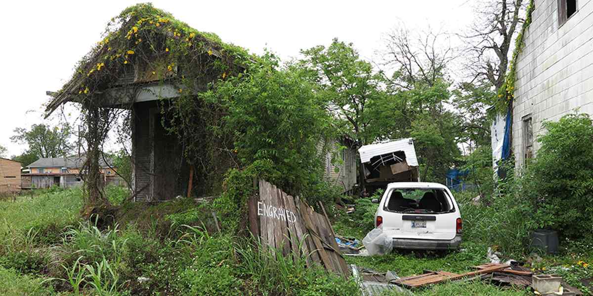 Engraved, New Orleans Widewalls