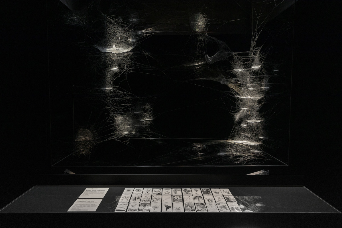 Tomás Saraceno's Major Multisensory Experience Coming to The Shed