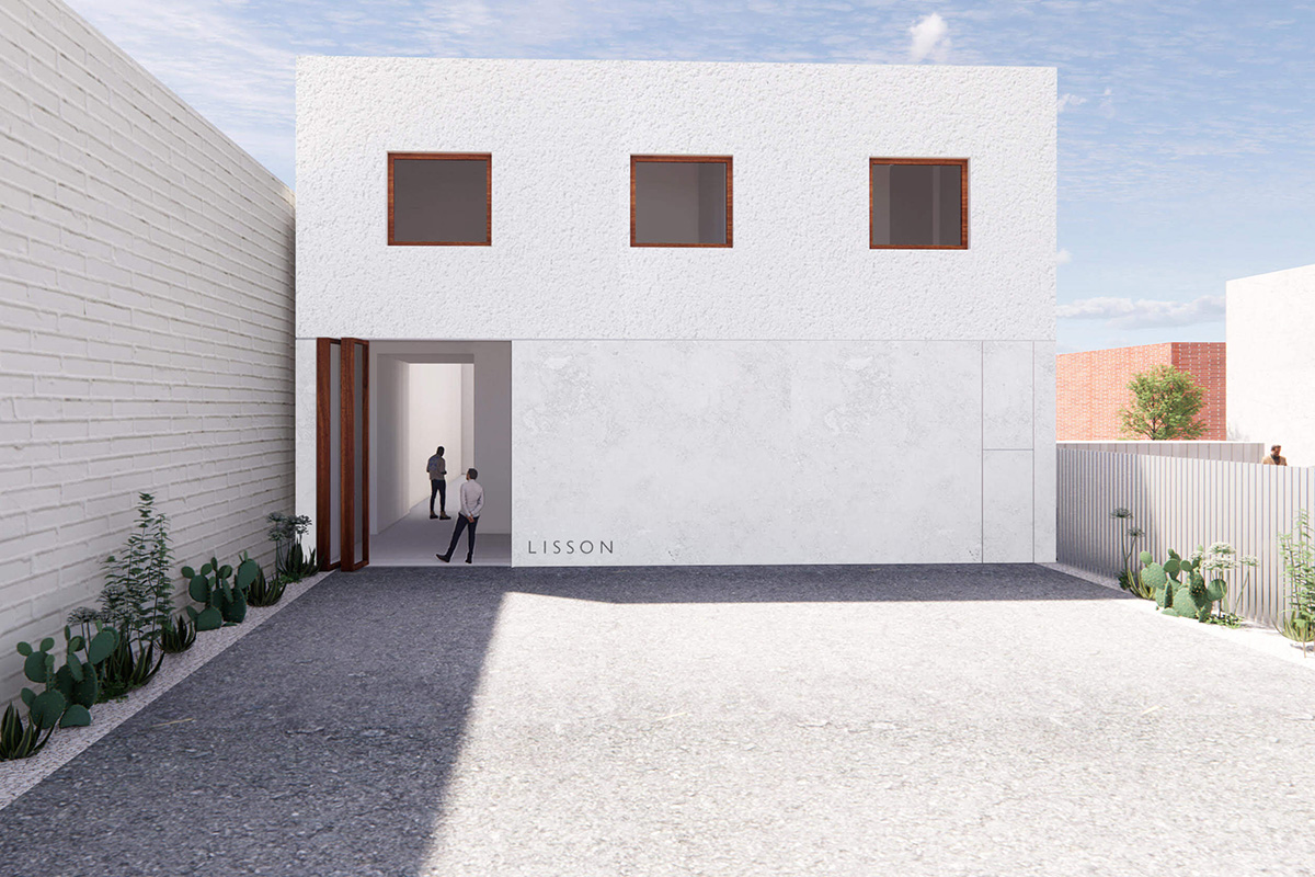 lisson gallery new york